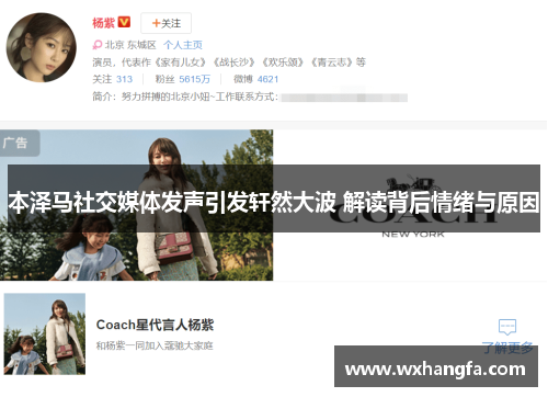 本泽马社交媒体发声引发轩然大波 解读背后情绪与原因