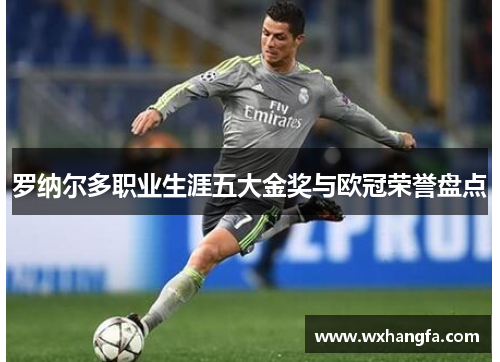罗纳尔多职业生涯五大金奖与欧冠荣誉盘点