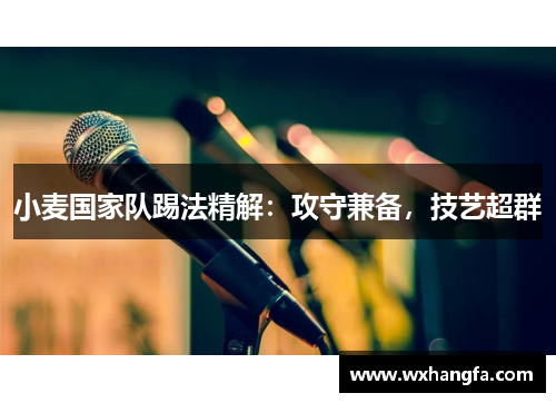 小麦国家队踢法精解：攻守兼备，技艺超群